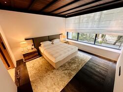 21 Anderson (D10), Condominium #526750471